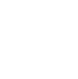 GS Shop